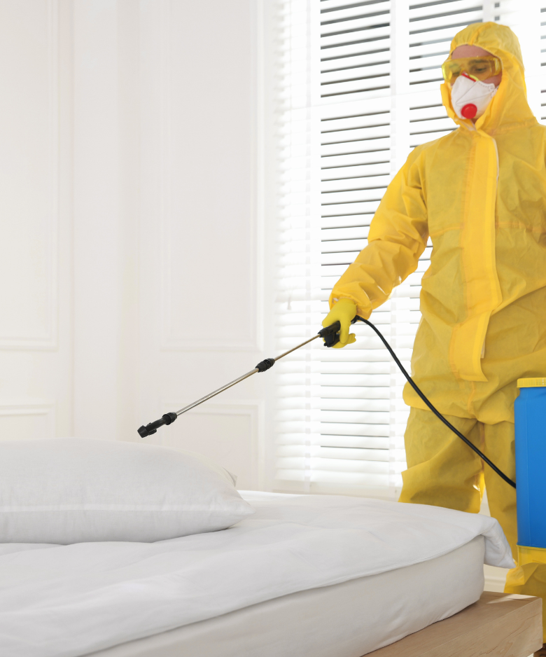 Professional Pest Control Team in Waterloo Corner